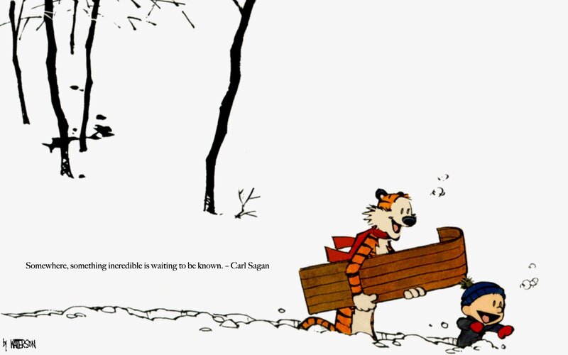 Calvin and Hobbes in snow