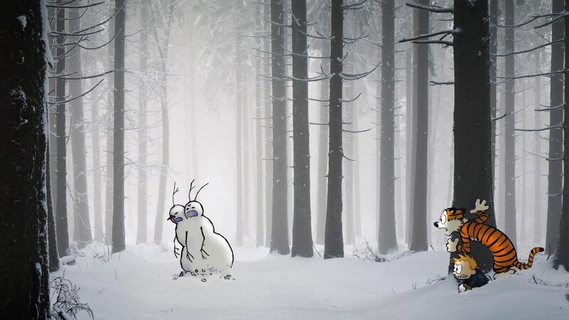 Calvin and Hobbes in Snow — White, Cold