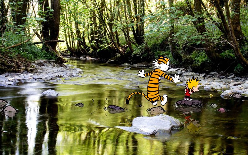 Calvin and Hobbes in Stream