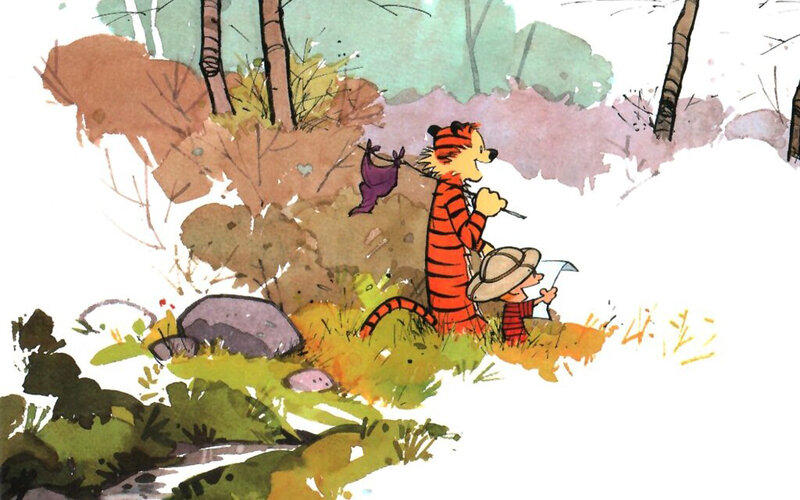 Calvin and Hobbes in the woods
