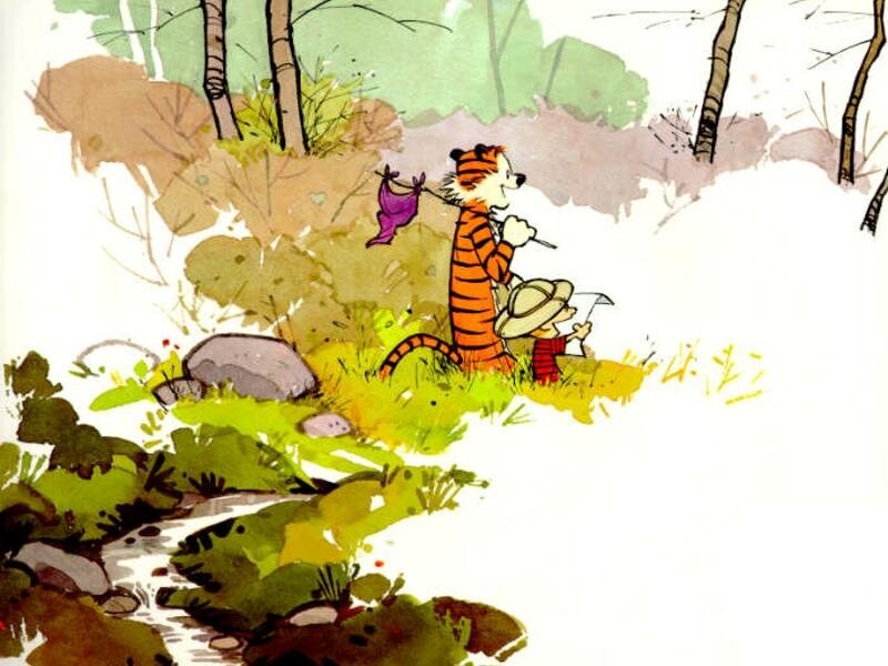 Calvin and Hobbes in the woods
