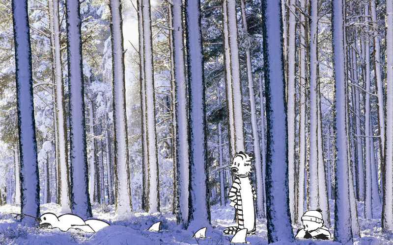 Calvin and Hobbes in winter