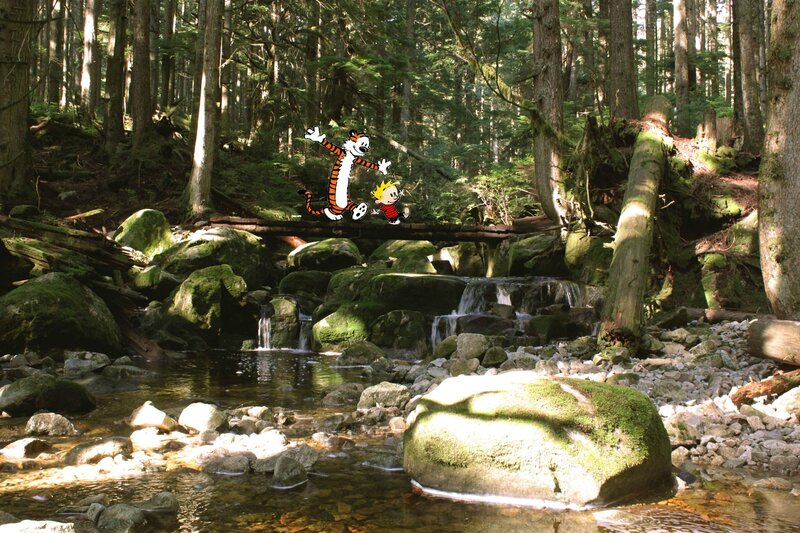 Calvin and Hobbes on Bridge