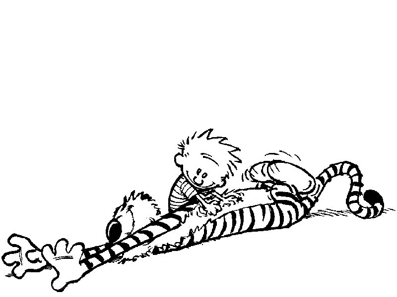 Calvin and Hobbes playing