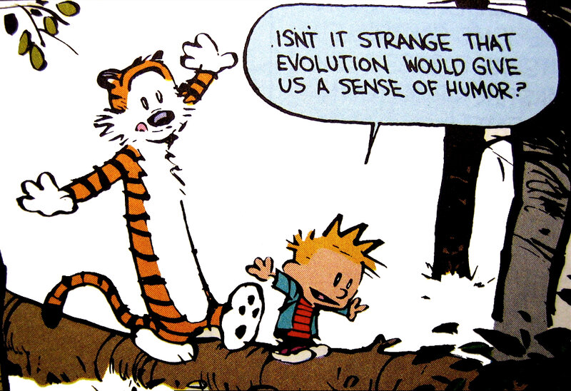 Calvin and Hobbes ponder humor