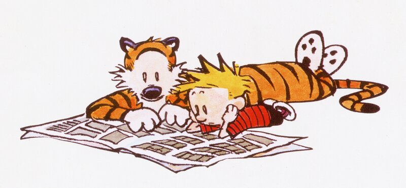 Calvin and Hobbes Reading — Orange