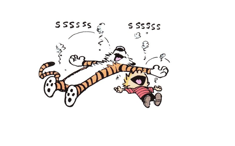 Calvin and Hobbes running