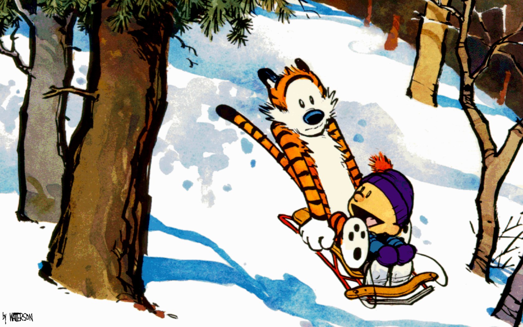 Calvin and Hobbes sledding