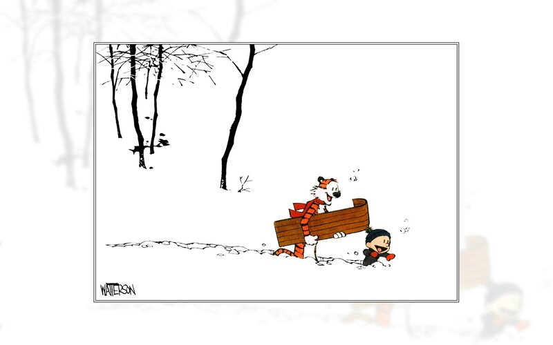 Calvin and Hobbes sledding