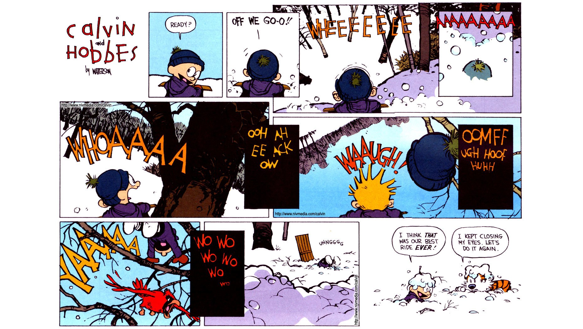 Calvin and Hobbes sledding