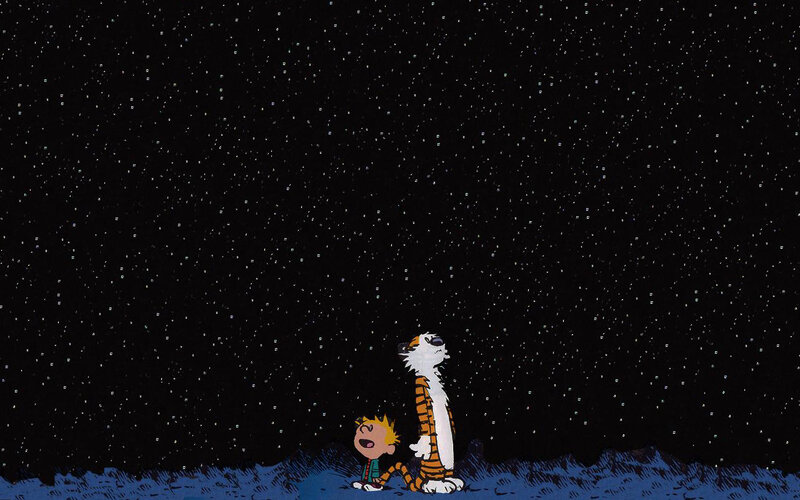 Calvin and Hobbes stargazing