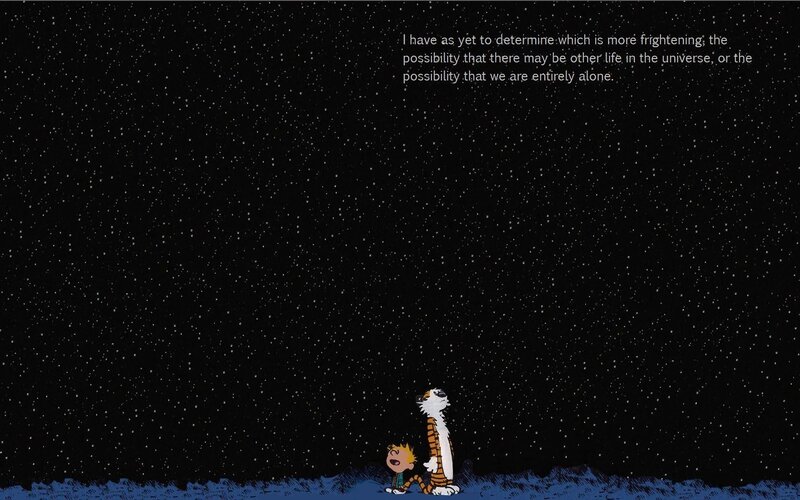 Calvin and Hobbes stargazing