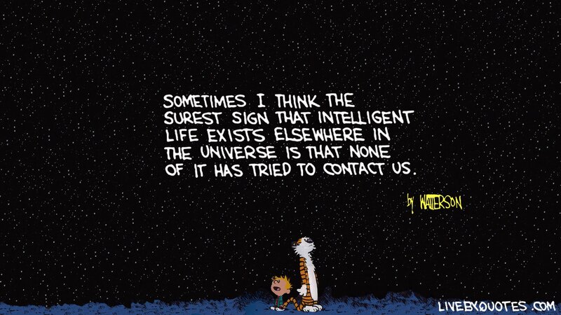 Calvin and Hobbes stargazing
