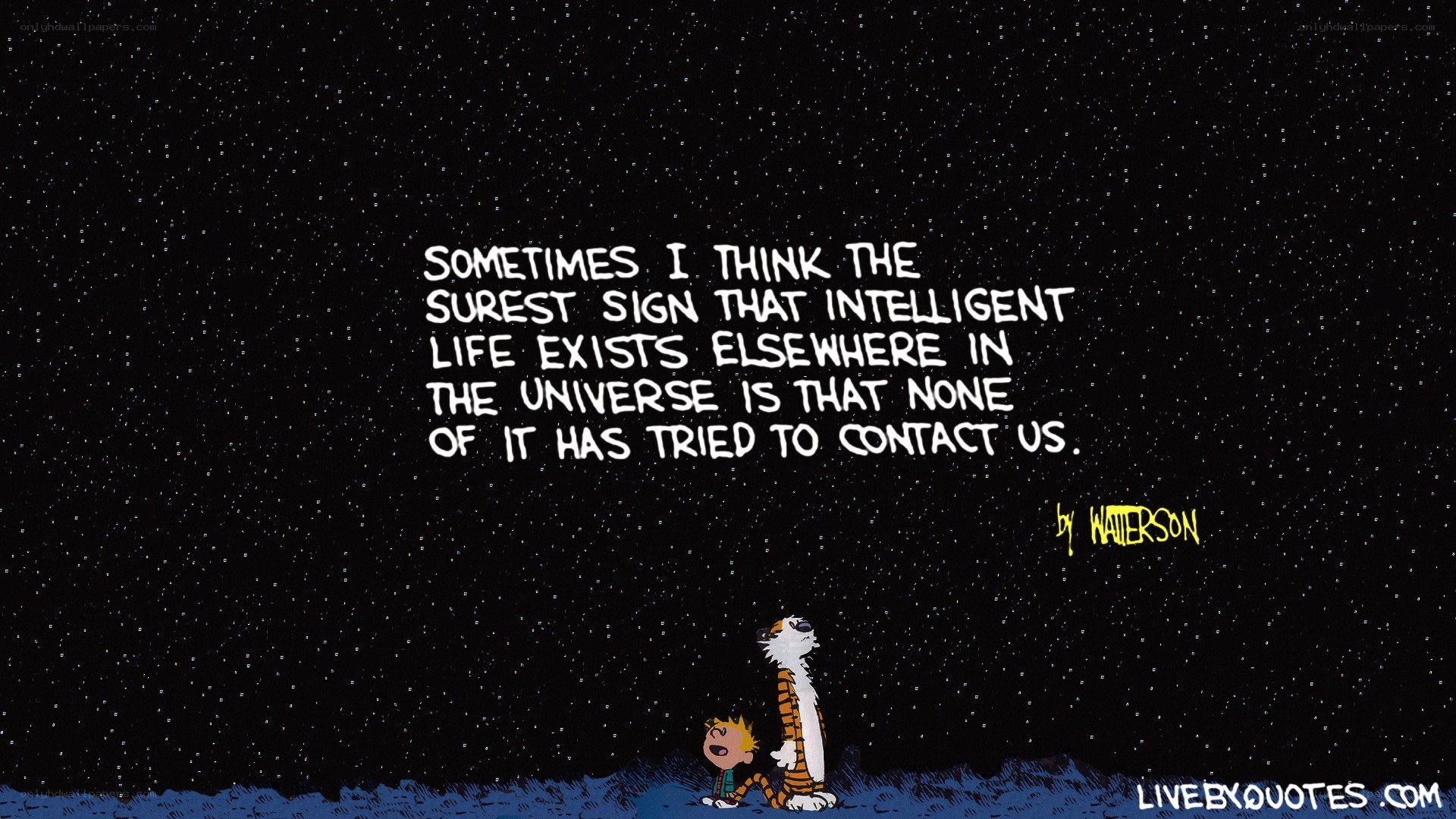 Calvin and Hobbes stargazing