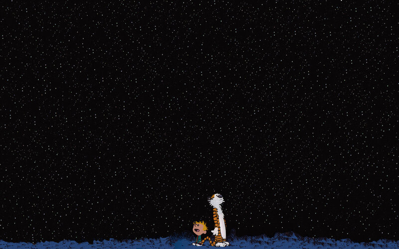 Calvin and Hobbes stargazing