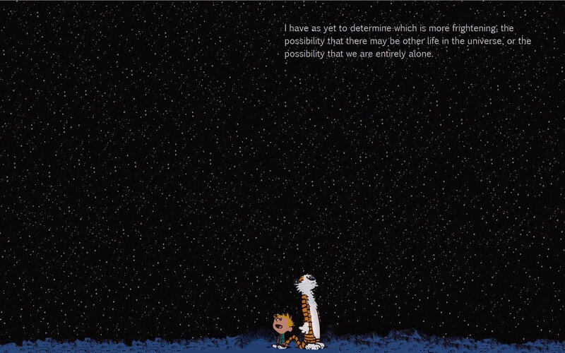 Calvin and Hobbes stargazing