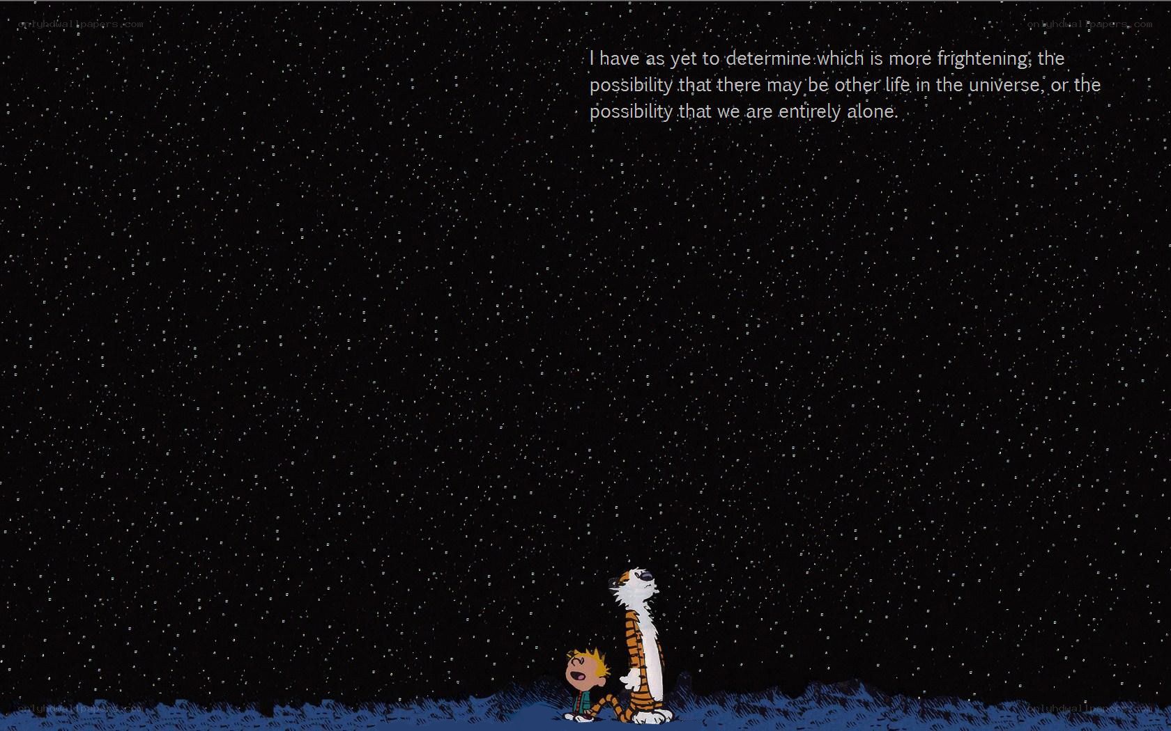 Calvin and Hobbes stargazing