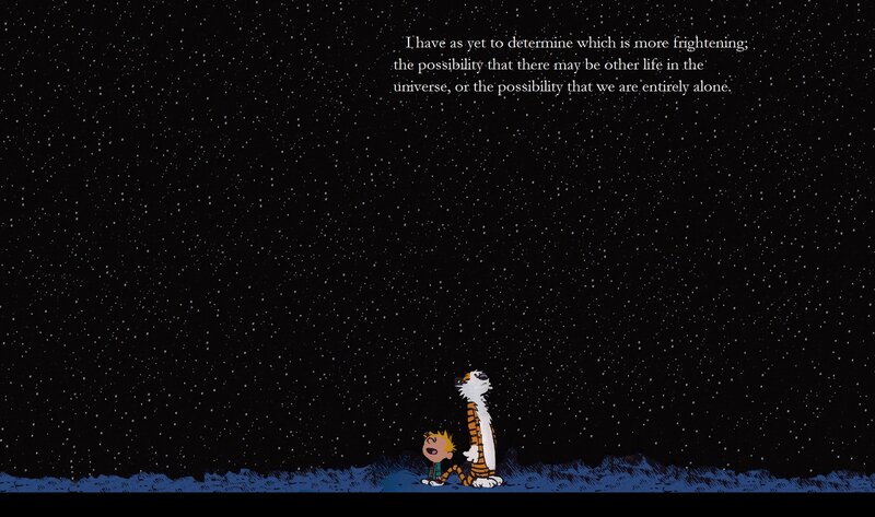 Calvin and Hobbes stargazing