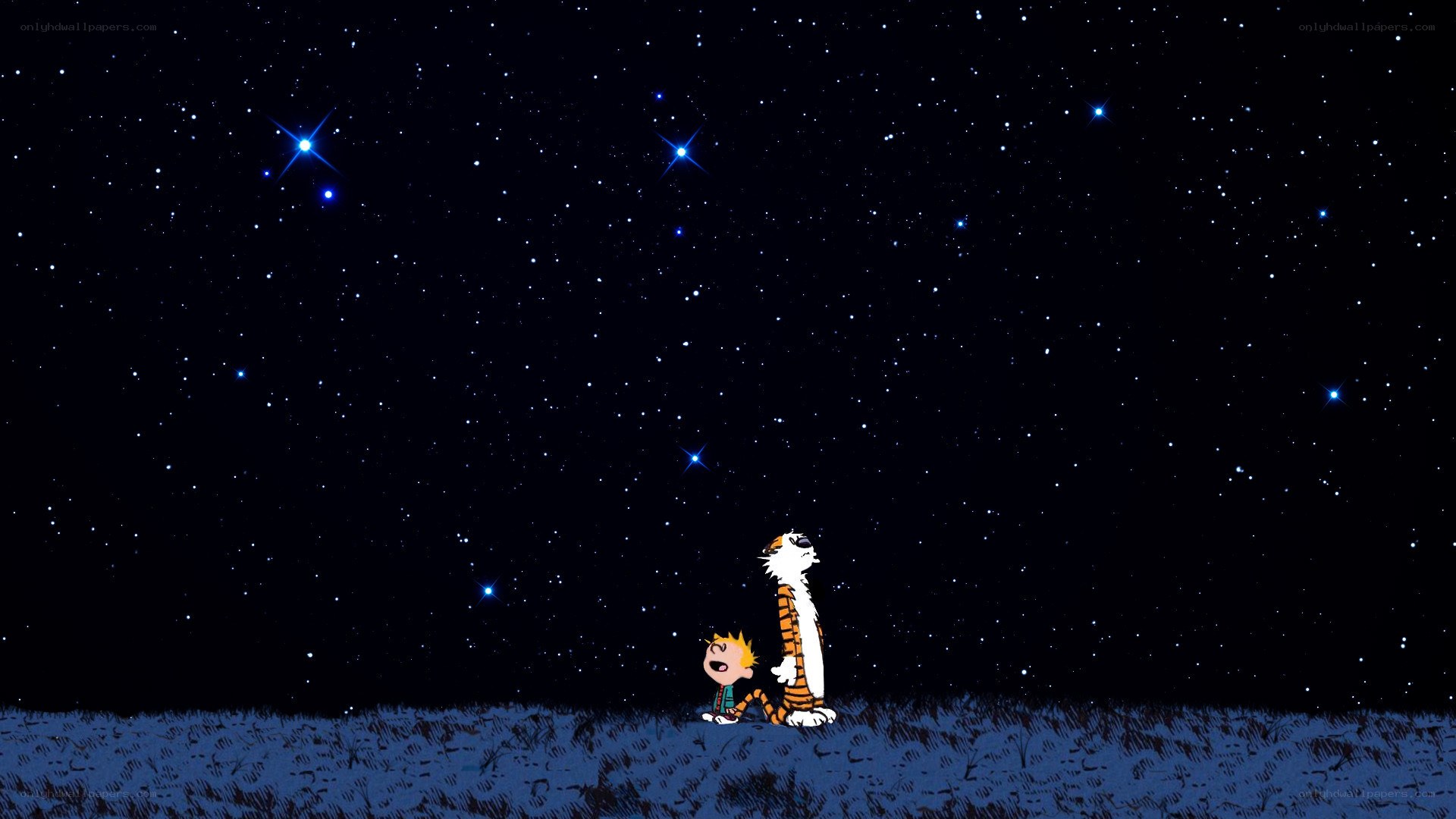Calvin and Hobbes stargazing