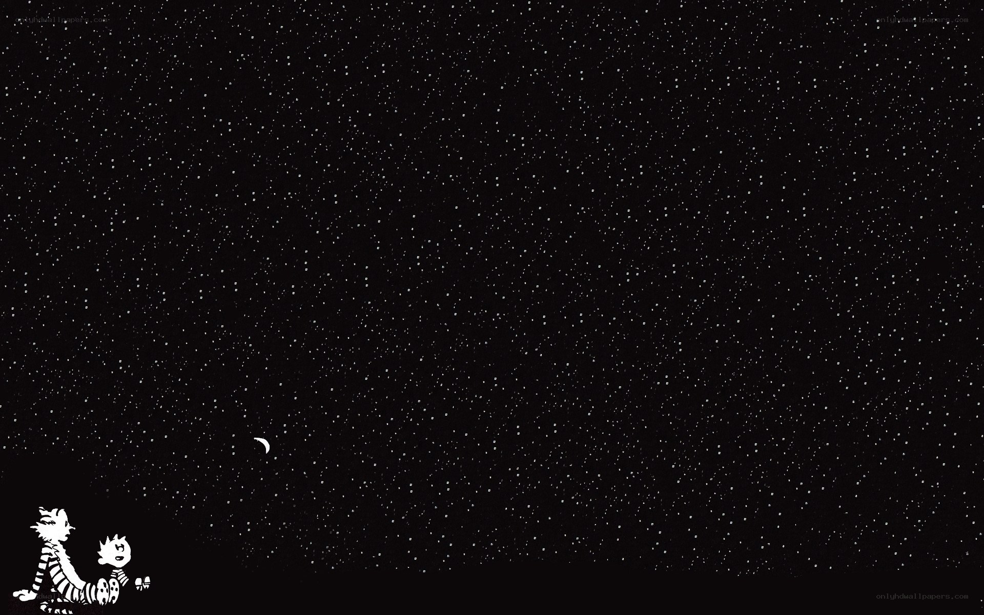Calvin and Hobbes stargazing