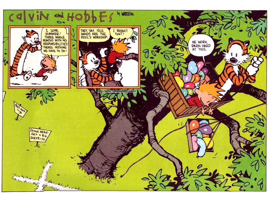 Calvin and Hobbes summer fun