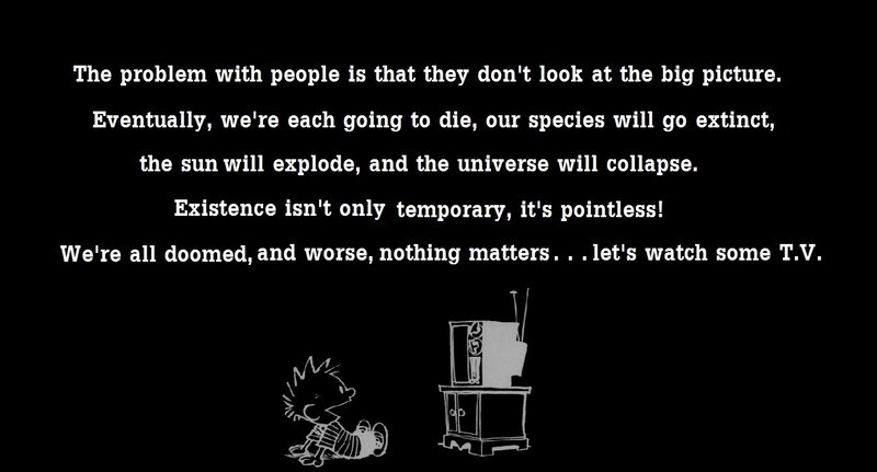 calvin and hobbes tv quote