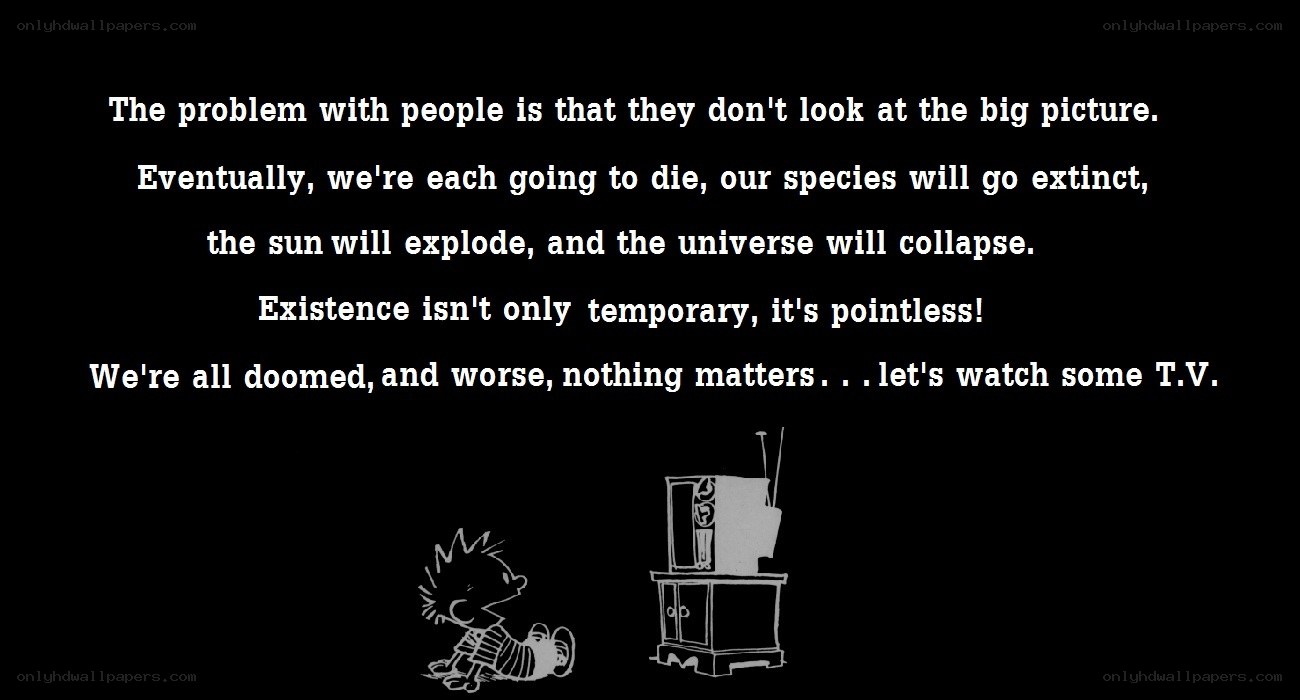 calvin and hobbes tv quote