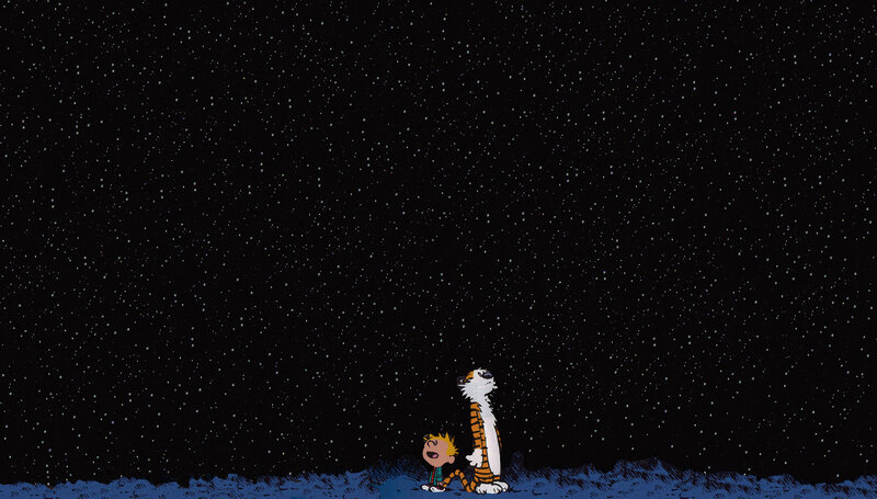 Calvin and Hobbes under stars