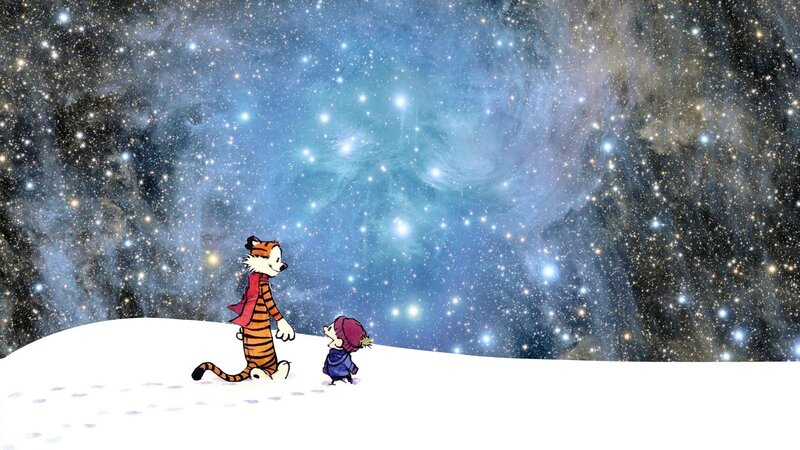 Calvin and Hobbes under stars