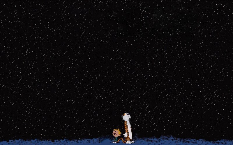 Calvin and Hobbes under stars