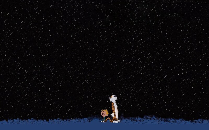 Calvin and Hobbes under stars