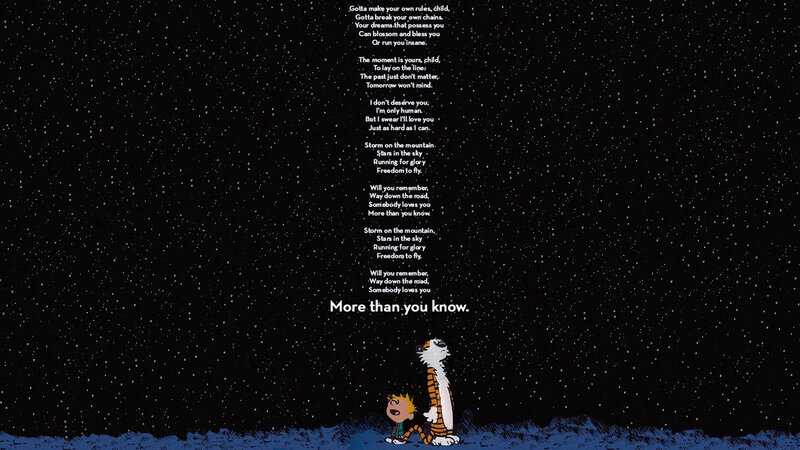 Calvin and Hobbes under stars