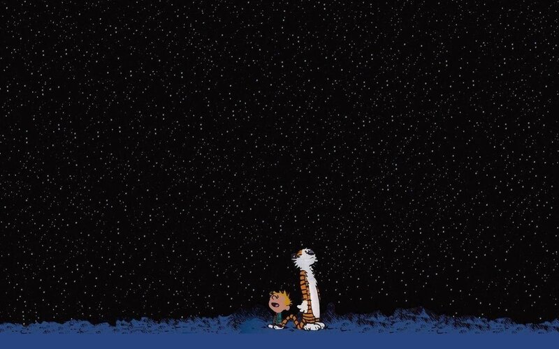 Calvin and Hobbes under stars