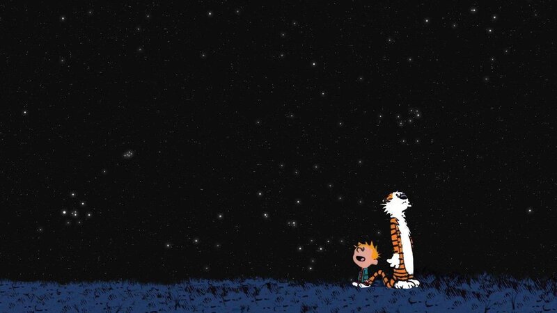 Calvin and Hobbes under stars