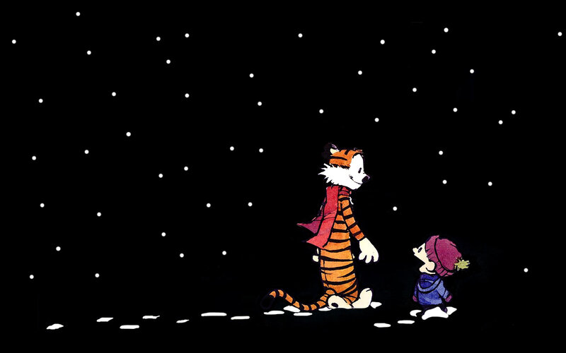 Calvin and Hobbes under stars