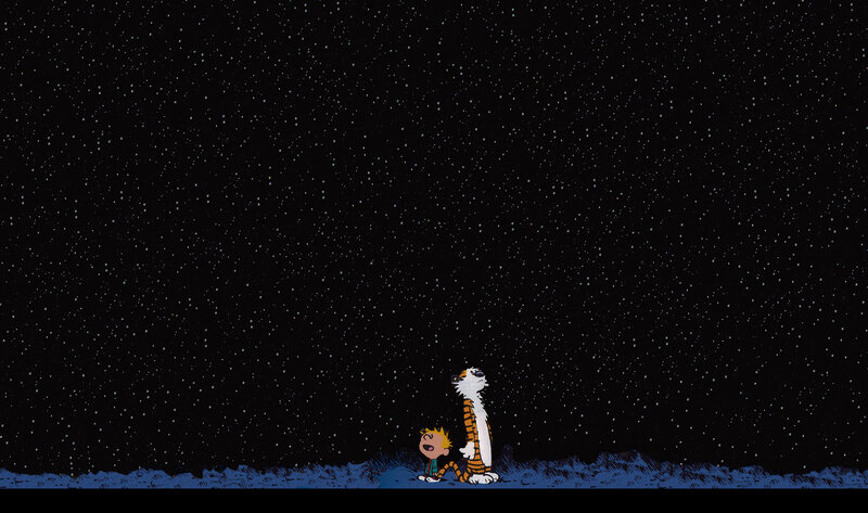 Calvin and Hobbes under stars