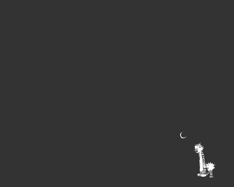 Calvin and Hobbes under the moon