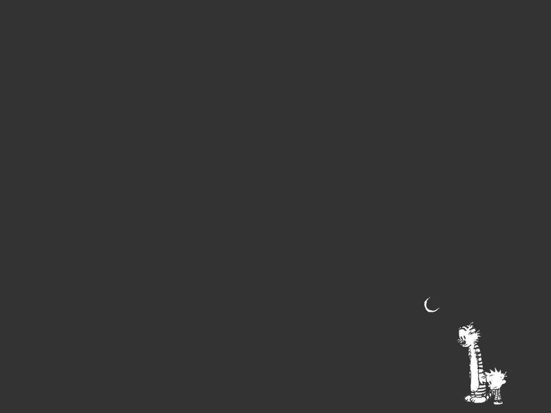 Calvin and Hobbes under the moon