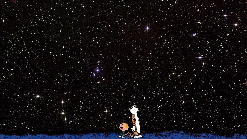 Calvin and Hobbes under the stars