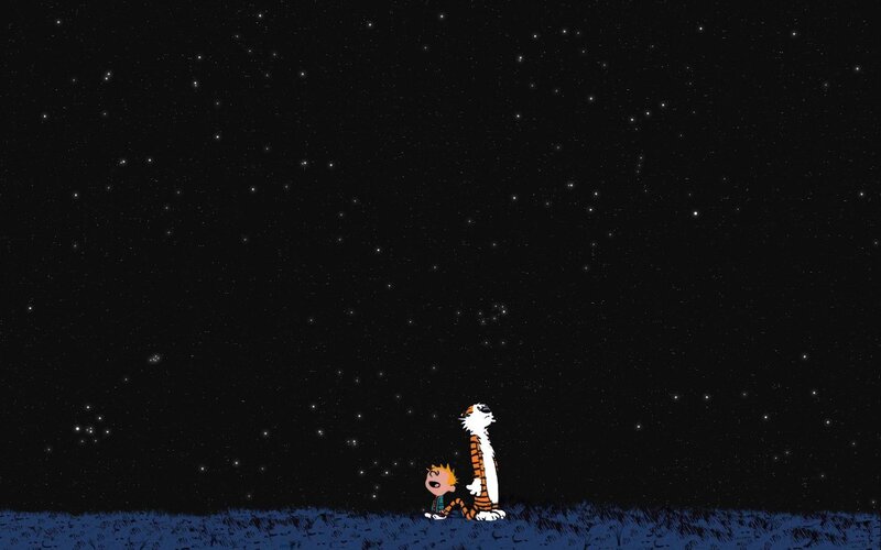 Calvin and Hobbes under the stars