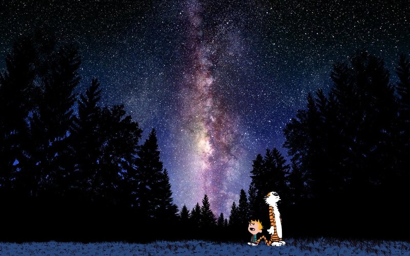 Calvin and Hobbes under the stars