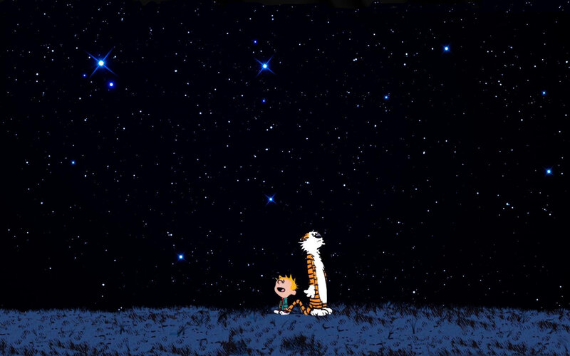Calvin and Hobbes under the stars