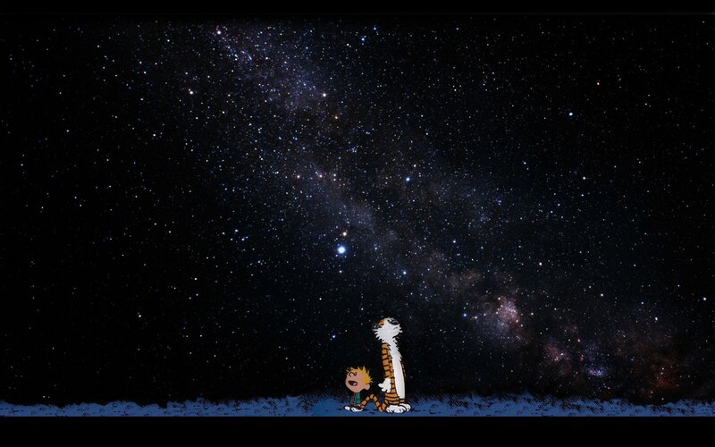 Calvin and Hobbes under the stars