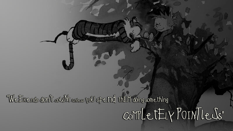 Calvin and Hobbes weekend quote
