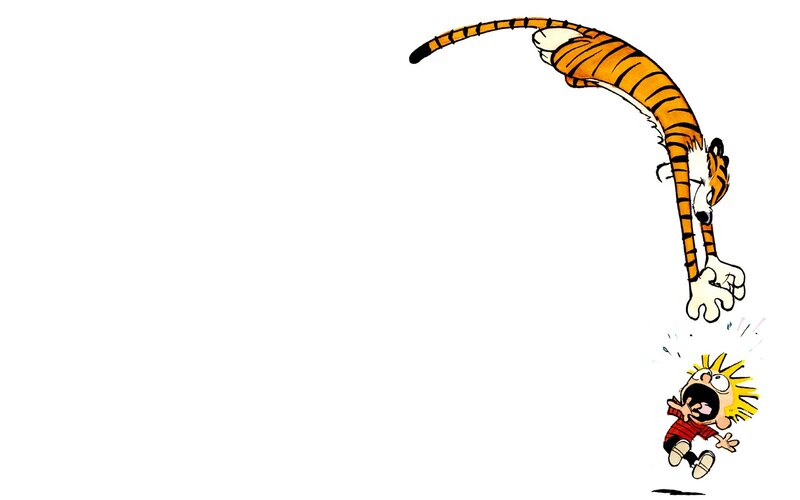 Calvin and Hobbes — White, Chaotic