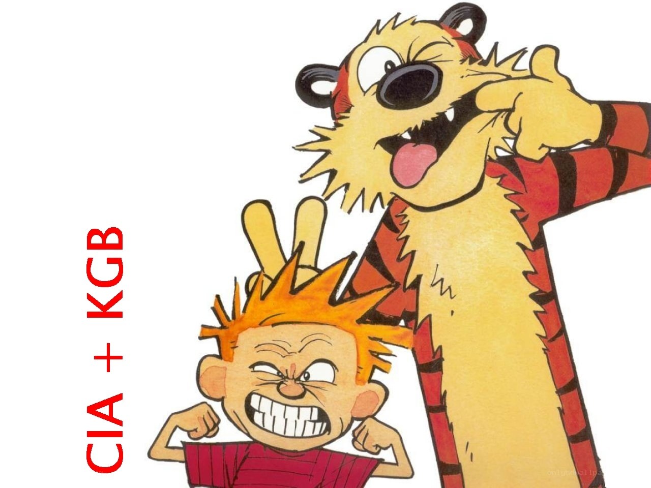 Calvin and Hobbes with text