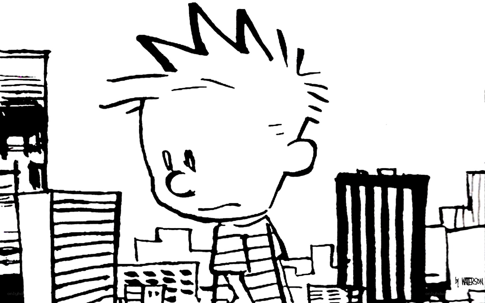 Calvin in the city