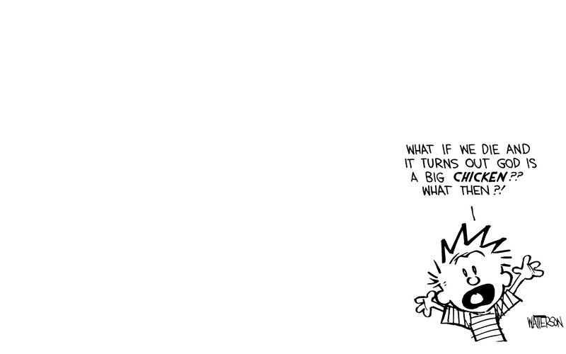 Calvin's big chicken question