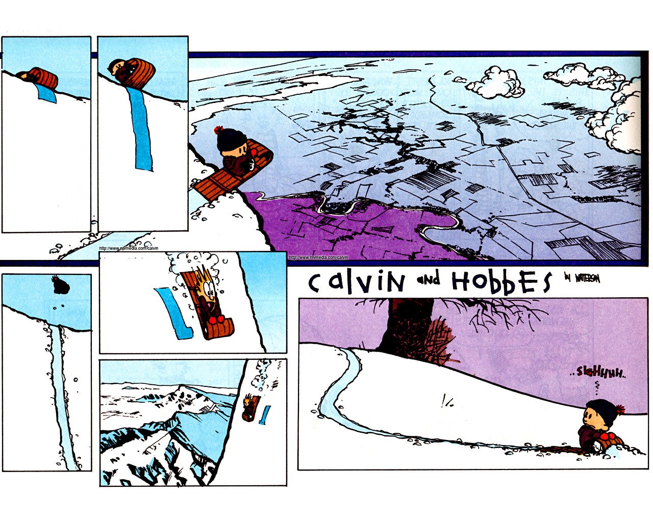 Calvin sleds down a hill