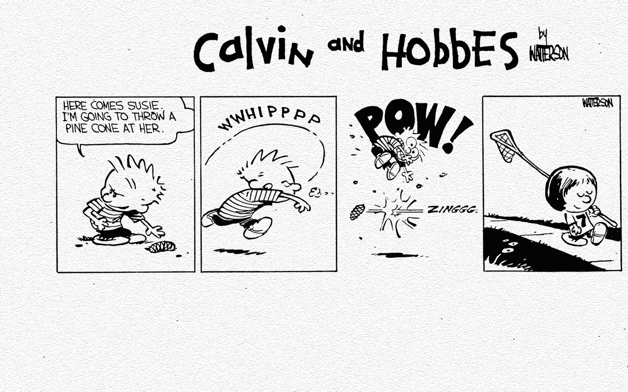 Calvin throws a pine cone